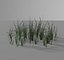 forest plants 3D