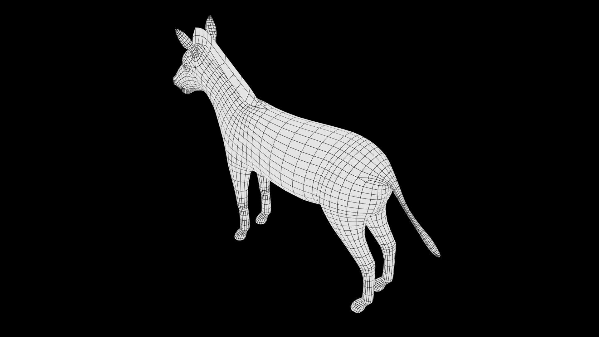 3D Zebra Model - TurboSquid 1944819