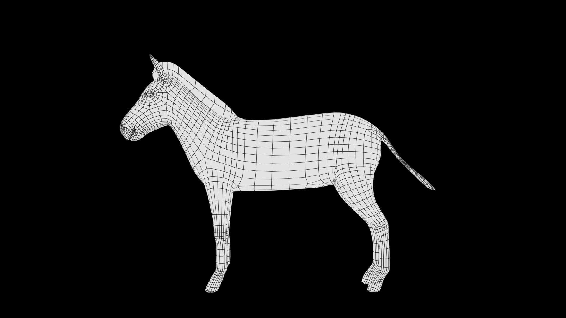 3D Zebra Model - TurboSquid 1944819