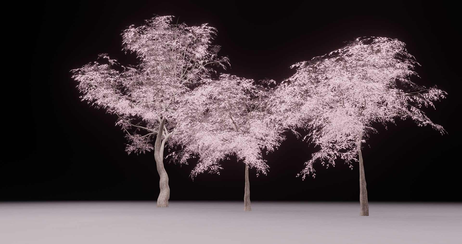 3D CherryBlossoms Tree - TurboSquid 2198094