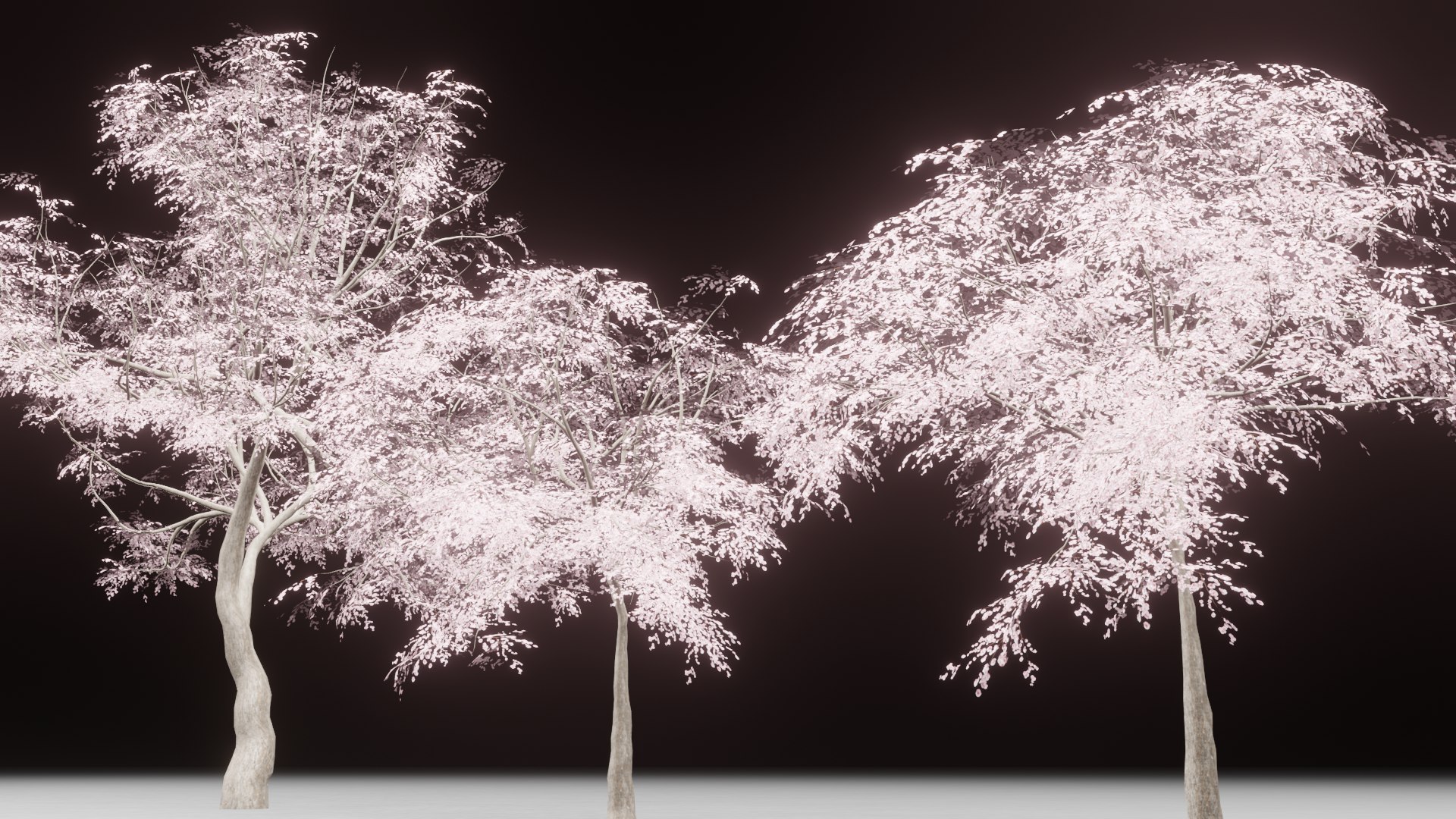 3D CherryBlossoms Tree - TurboSquid 2198094