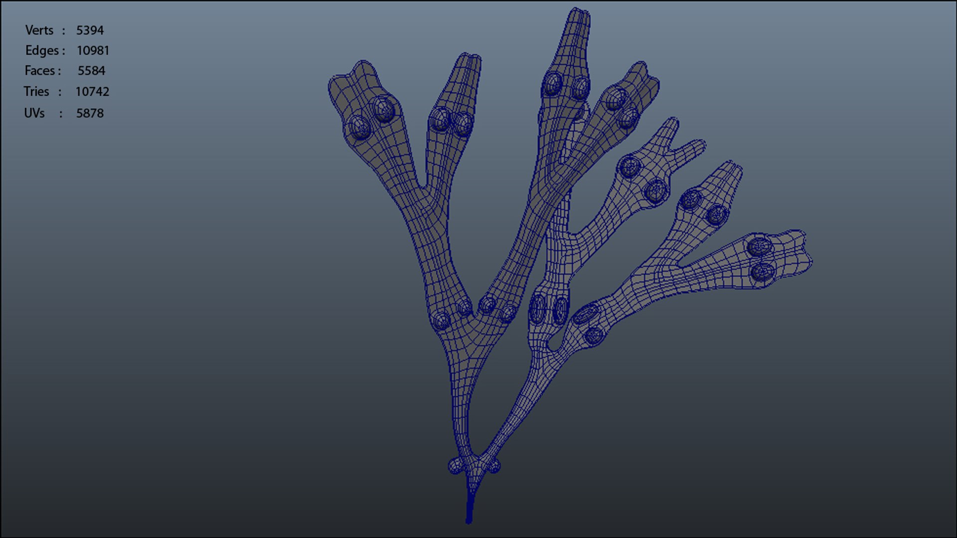 3d model fucus https://p.turbosquid.com/ts-thumb/k0/qCQ3rK/YQ50v546/fucus_polycount/jpg/1384170480/1920x1080/fit_q87/04594db23f6b817e3143deff83450c5e27661866/fucus_polycount.jpg