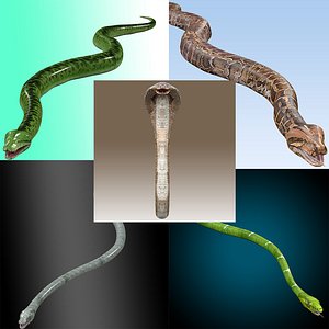 Ultimate Snake 3D Model Collection