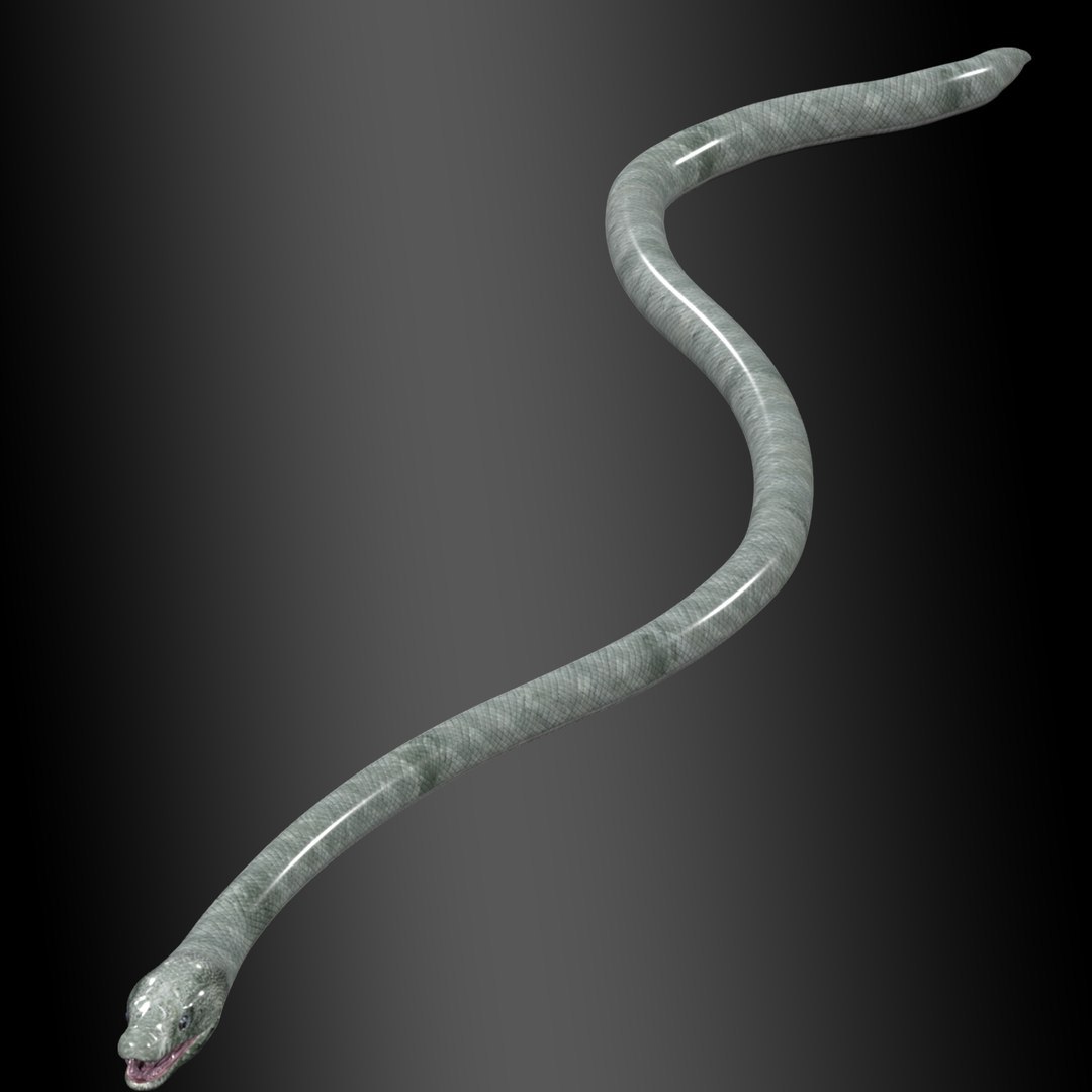 Ultimate Snake 3D Model Collection 3D Model - TurboSquid 2352331