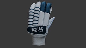 Cricket Batting Glove