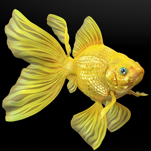 3D model Goldfish Rigged for Maya