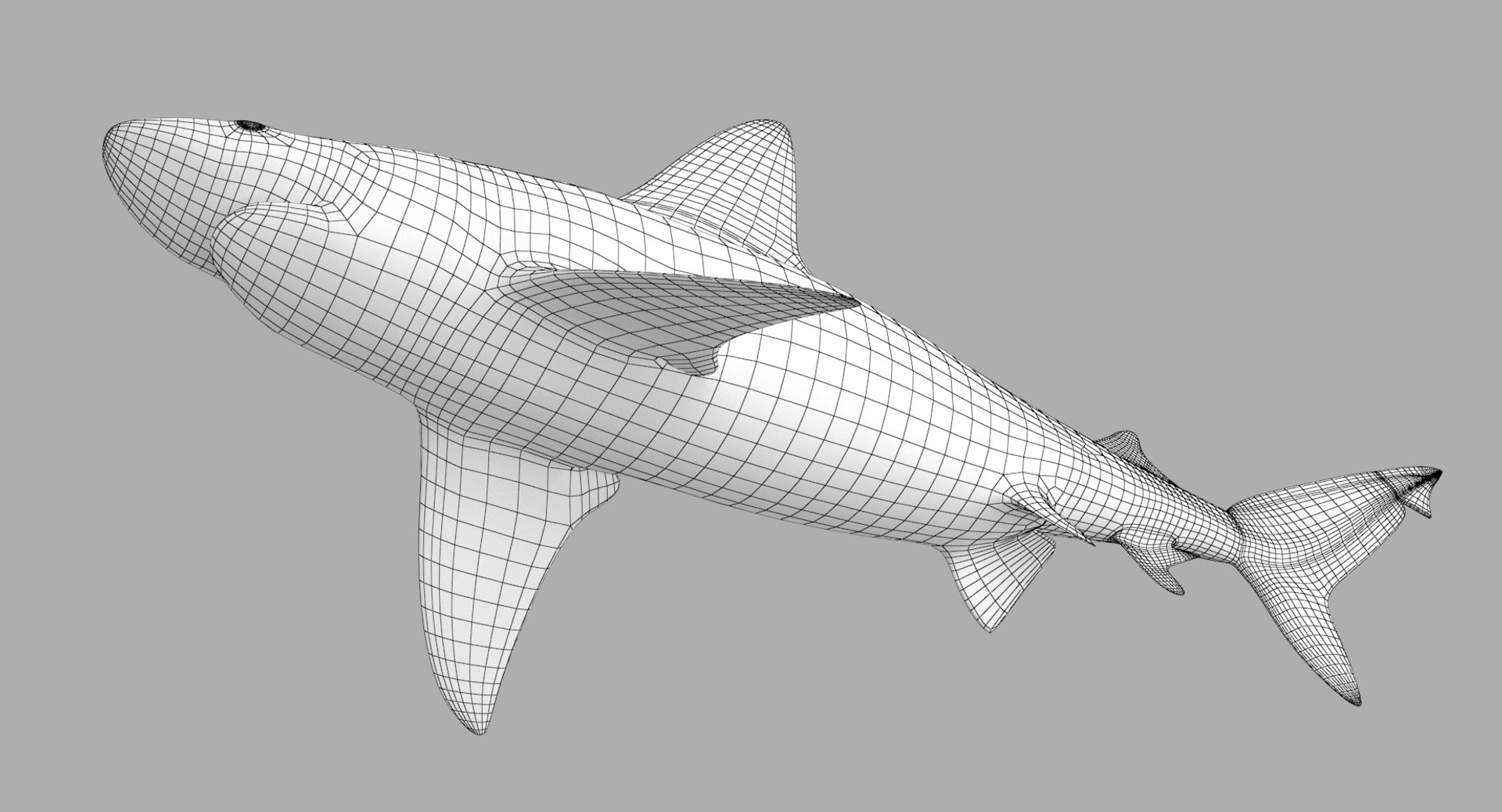 3D sandbar shark https://p.turbosquid.com/ts-thumb/k0/xB6ixQ/WzOkMrlN/sandbar_r6w/png/1537772389/1920x1080/fit_q87/b58e00d53db20c03b8f913187fb36f516fb6e5a1/sandbar_r6w.jpg