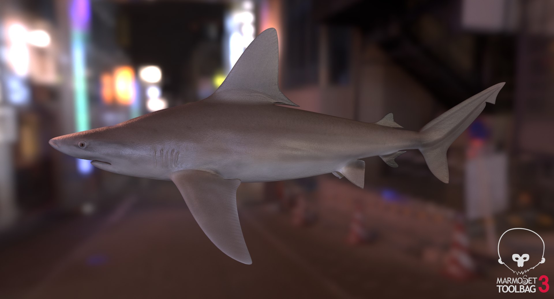 3D sandbar shark https://p.turbosquid.com/ts-thumb/k0/xB6ixQ/c4t7uH7u/screenshot411/png/1537772389/1920x1080/fit_q87/f1ebd47f37269bf6dfaca3a7850aac5662c73a2b/screenshot411.jpg