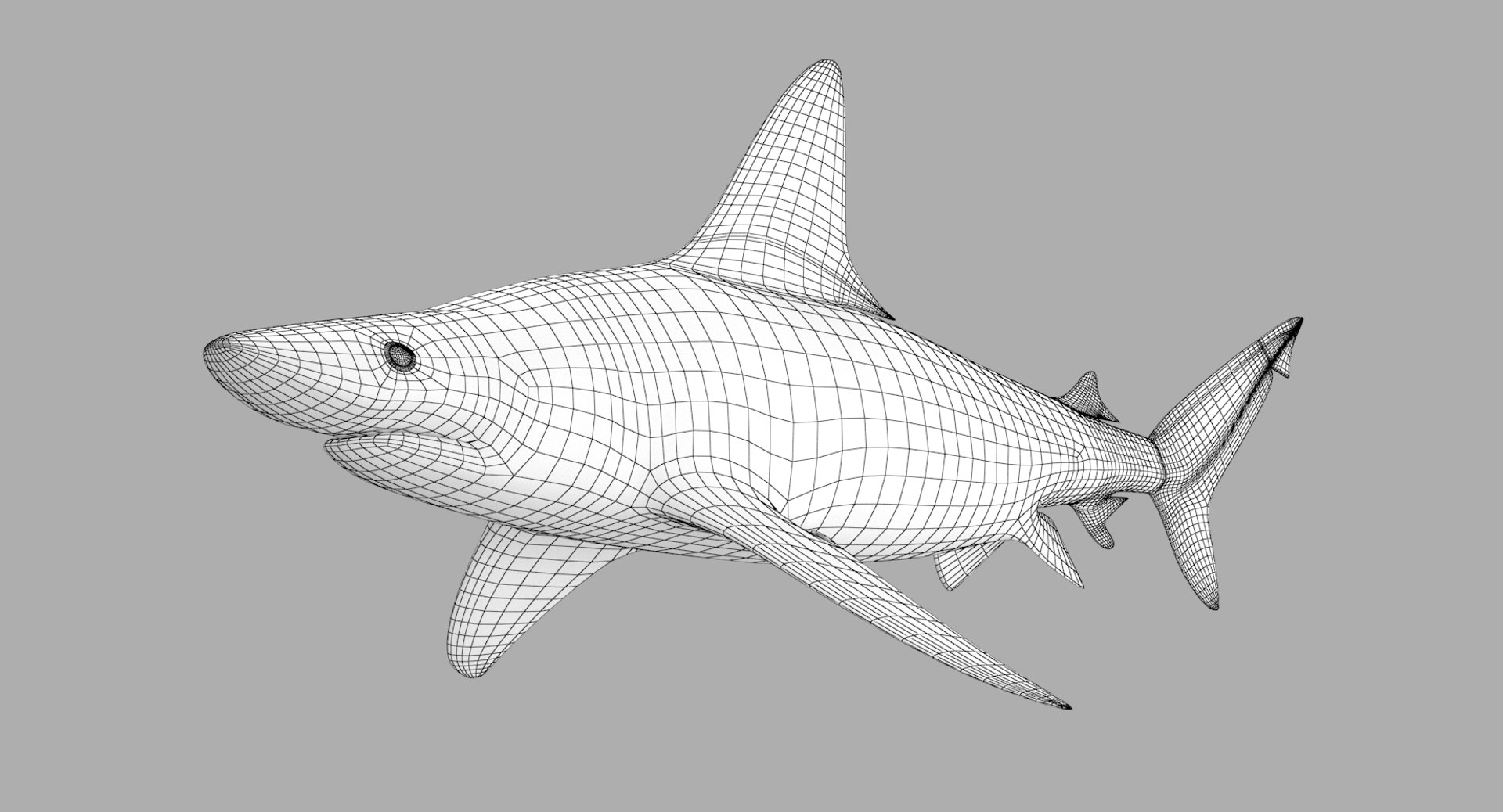 3D sandbar shark https://p.turbosquid.com/ts-thumb/k0/xB6ixQ/e58YNl78/sandbar_r7w/png/1537772389/1920x1080/fit_q87/420864640a62eba5b29e9816808117cbdb656f67/sandbar_r7w.jpg