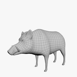 boar 3D