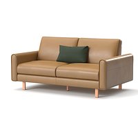 Modern Leather Loveseat Sofa with Accent Pillow
