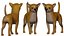 Hund Chihuahua Low Poly Modellspiel AR VR