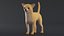 Hund Chihuahua Low Poly Modellspiel AR VR