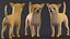 Hund Chihuahua Low Poly Modellspiel AR VR