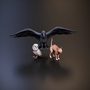 Cat Crow Owl 3D Model 3D model