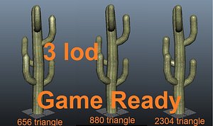 Cactus tall Game Ready