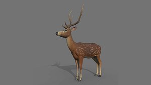 Realistic Deer with Rigged 3D