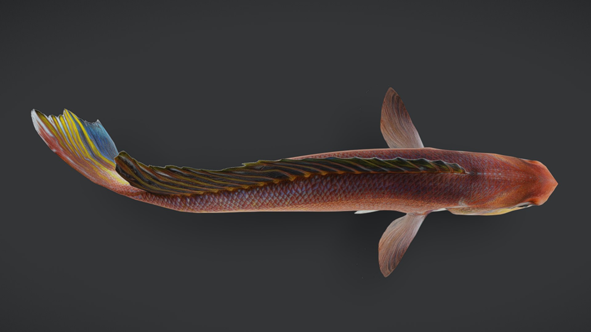 Ocean Fish Collection Animated V2 model https://p.turbosquid.com/ts-thumb/k1/jUNzSB/Pb/horseheadtilefish7/png/1790592612/1920x1080/fit_q87/5da4bebcdc6fc62207cc9d61c2874562e204e49a/horseheadtilefish7.jpg