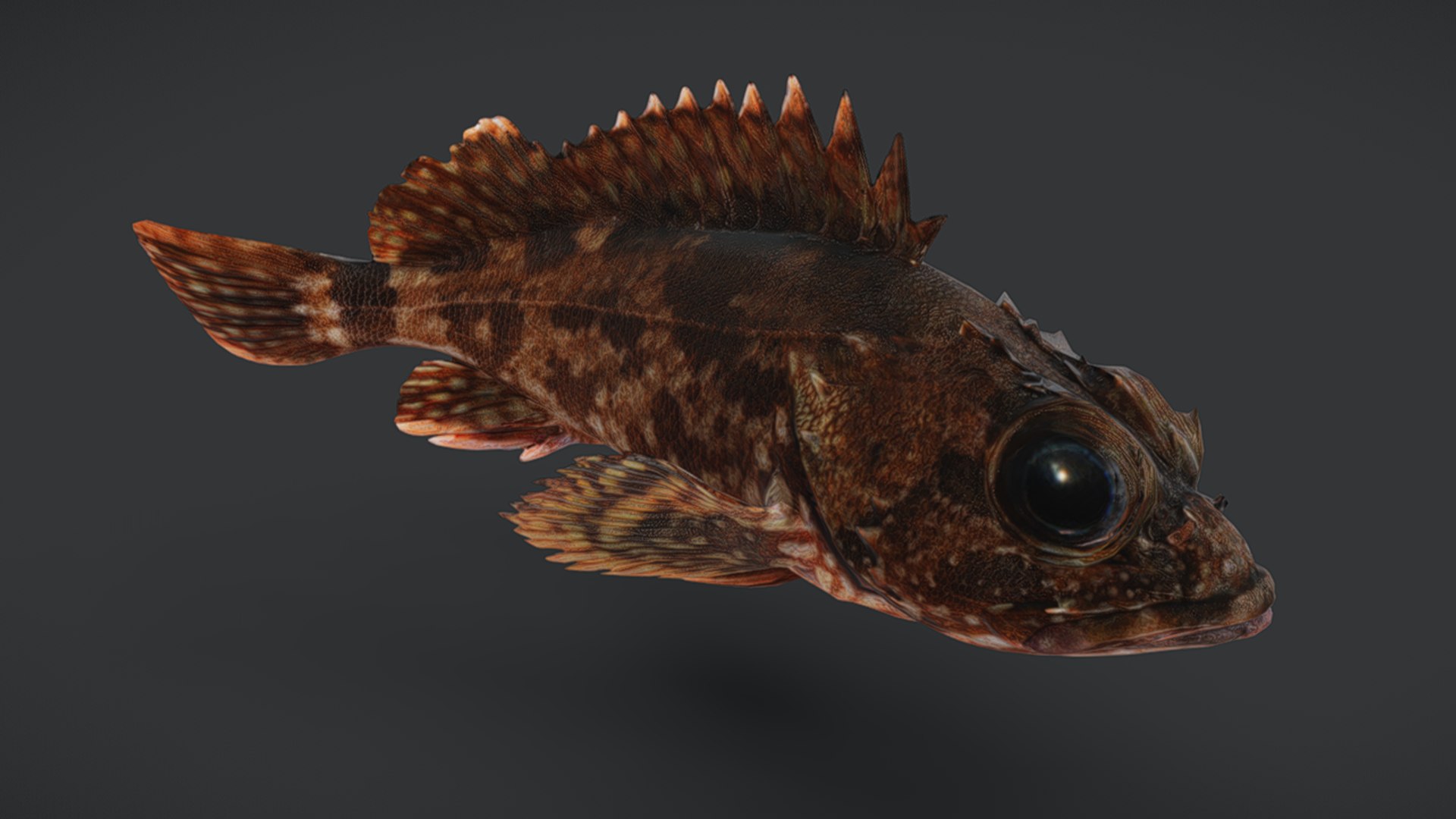 Ocean Fish Collection Animated V2 model https://p.turbosquid.com/ts-thumb/k1/jUNzSB/Ro/falsekelpfish9/png/1790592601/1920x1080/fit_q87/9e9a5eab53ea0b89aaf732cf93234683f0ba2fb6/falsekelpfish9.jpg