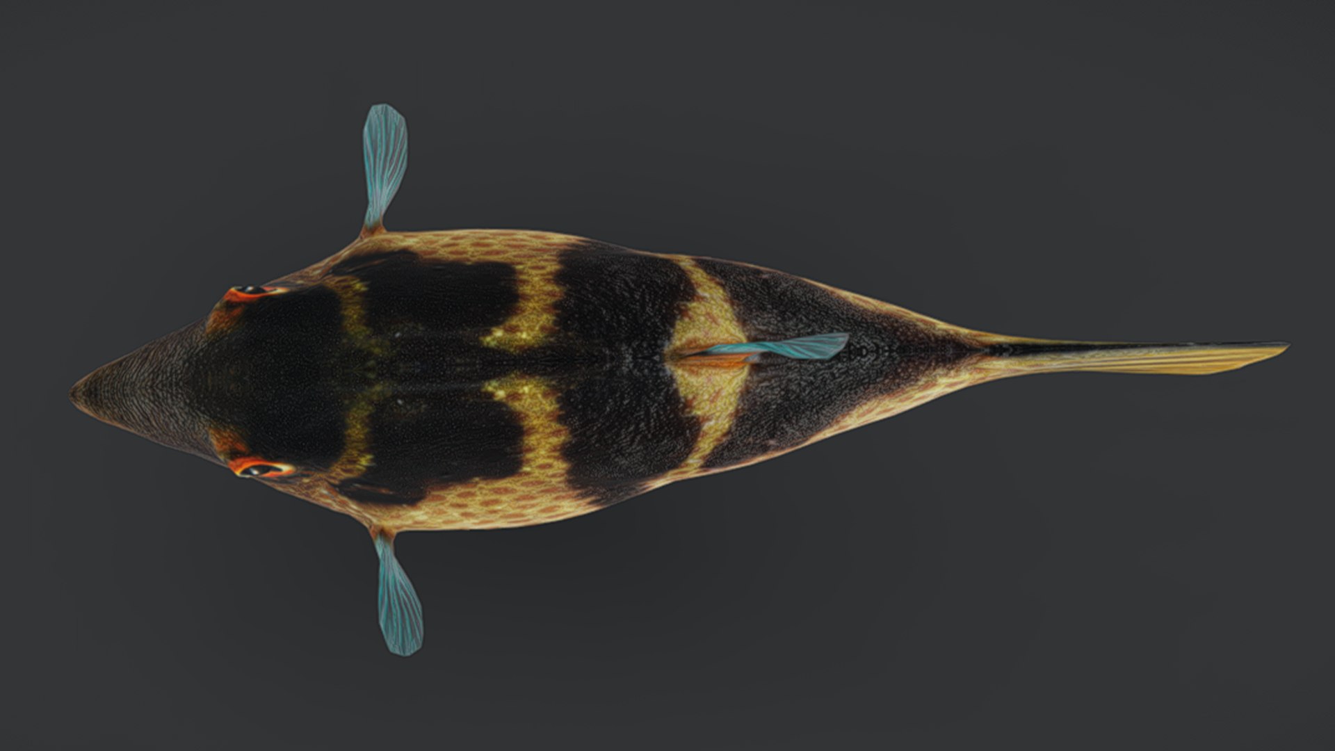 Ocean Fish Collection Animated V2 model https://p.turbosquid.com/ts-thumb/k1/jUNzSB/iL/puffer9/png/1790592627/1920x1080/fit_q87/4d61a127ad9b9facec0432740d4fd6df85488955/puffer9.jpg