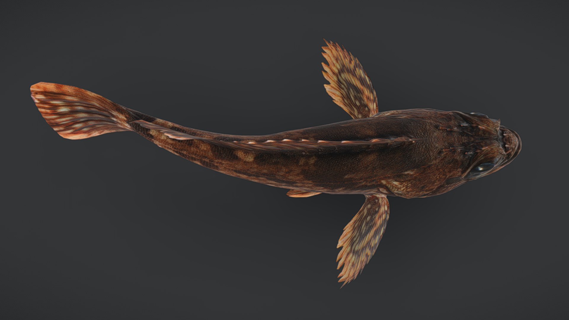 Ocean Fish Collection Animated V2 model https://p.turbosquid.com/ts-thumb/k1/jUNzSB/wO/falsekelpfish13/png/1790592602/1920x1080/fit_q87/e152cdfe0df8261410911b7db5bfbc77c5ddd779/falsekelpfish13.jpg