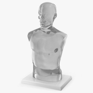 Gel Simulation Torso Without Anatomy