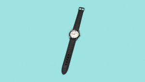 Wrist watch