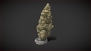 3D Cannabis Weed Bud Scan model