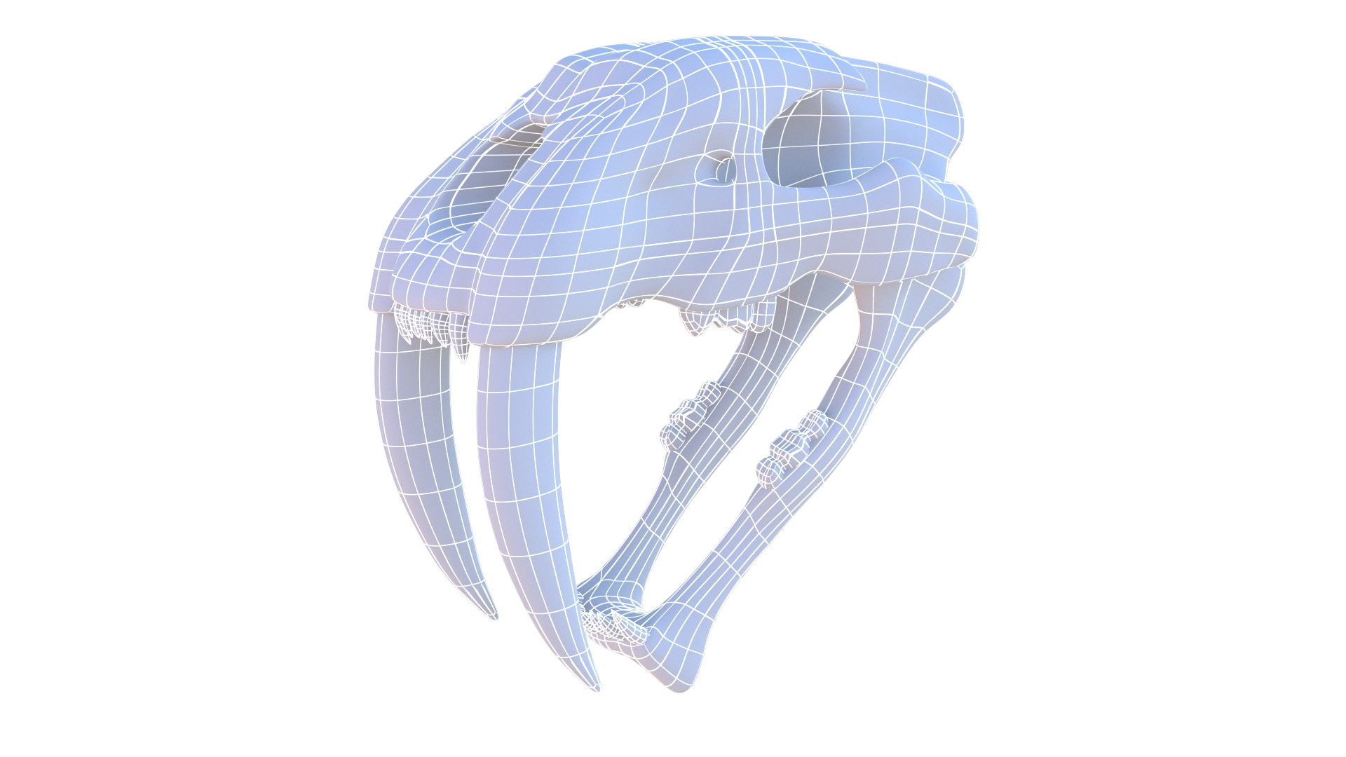 3D model Saber Tooth Tiger Skull https://p.turbosquid.com/ts-thumb/k2/RKmsHE/Qv/sabertoothtigerskullwf_1/png/1644070984/1920x1080/fit_q87/7e22ee02aeb3d05ac74f3a799448f6b46c980b9d/sabertoothtigerskullwf_1.jpg