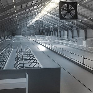 Cowhouse interior