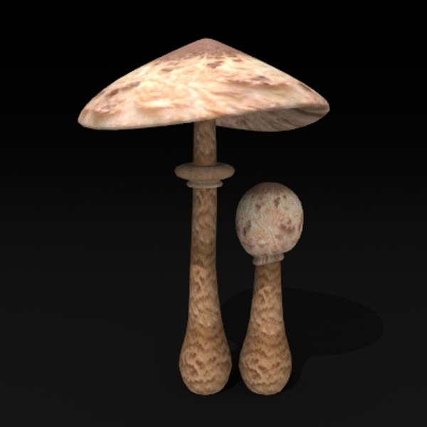 3d mushroom model