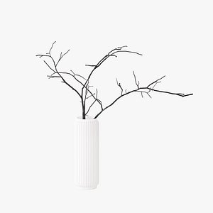 Vase with branches