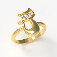 CAT RING CINCIN KUCING