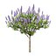 Modèle réaliste de plante de la fierté de Madère