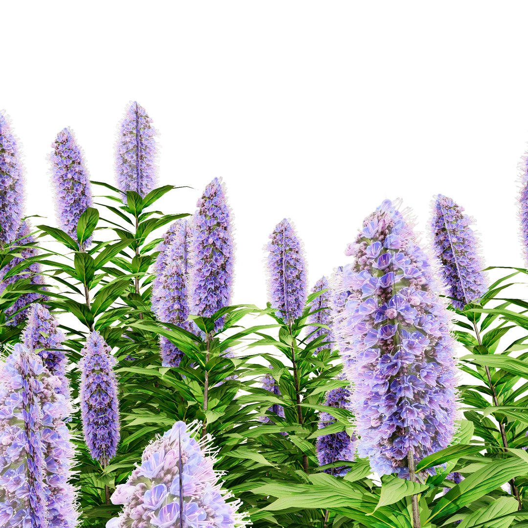 3D Realistic Pride of Madeira Plant Model https://p.turbosquid.com/ts-thumb/k2/yxSIRE/Cd/smalltree08/jpg/1722080930/1920x1080/fit_q87/84d70ce9a4aecef4cda68f012223fa4710e1cee1/smalltree08.jpg