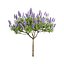 Modèle réaliste de plante de la fierté de Madère