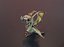 Dessin animé Iron Dragon animé Low-poly modèle 3D