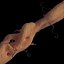 axon with dendrites