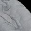 axon with dendrites