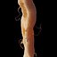 axon with dendrites