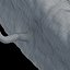 axon with dendrites