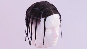 Travis Scott Braids