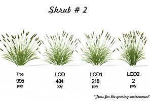 Shrub 2
