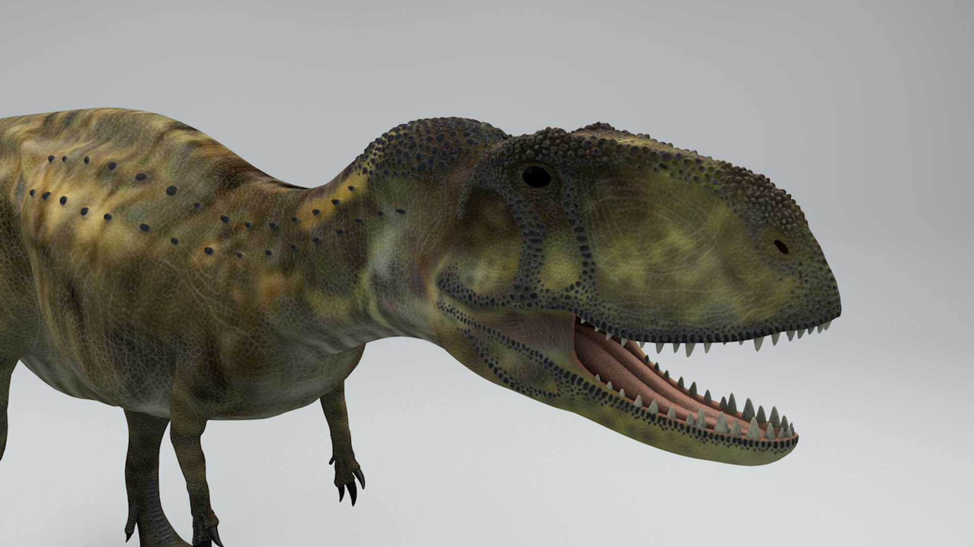 3D Abelisaurus Dinosaur Rigged - TurboSquid 1317100