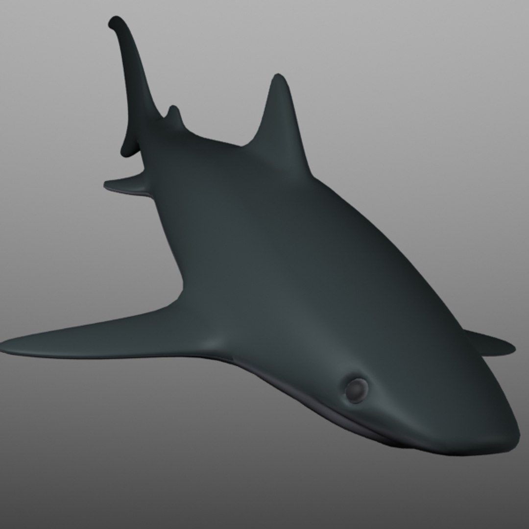 3d Model Shark