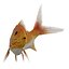fish 3D model