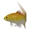 fish 3D model