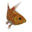 fish 3D model