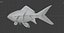 fish 3D model
