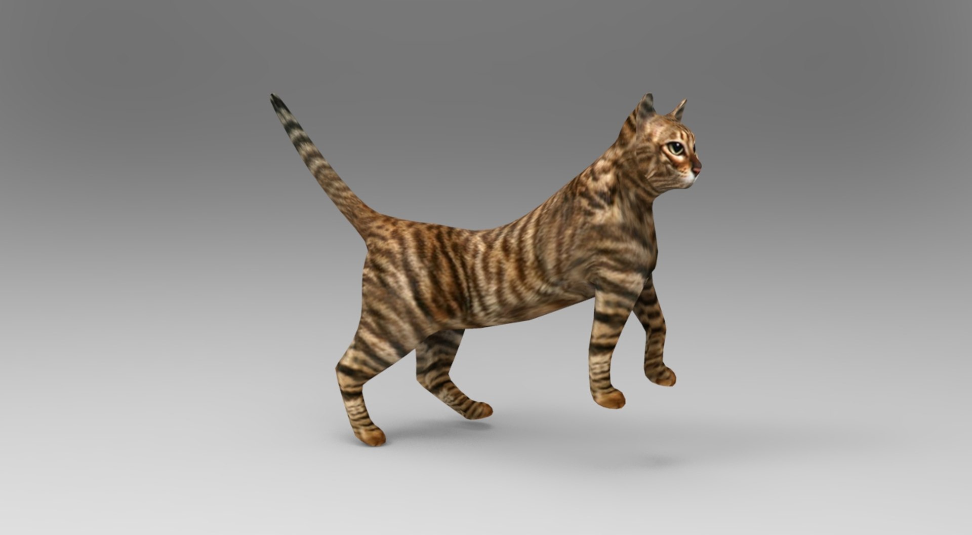 Cat Rigged Model | 1142721 | TurboSquid